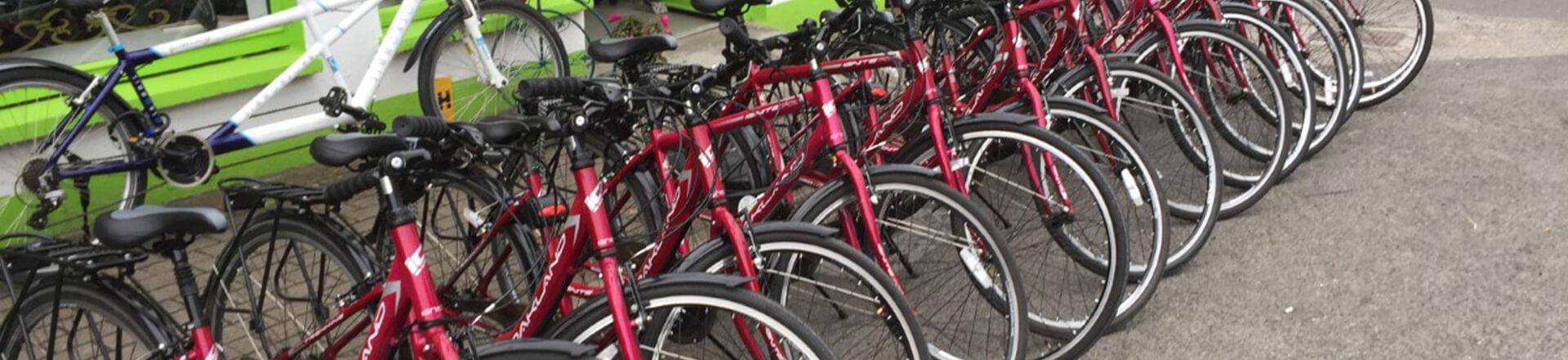 bike hire in Leitrim