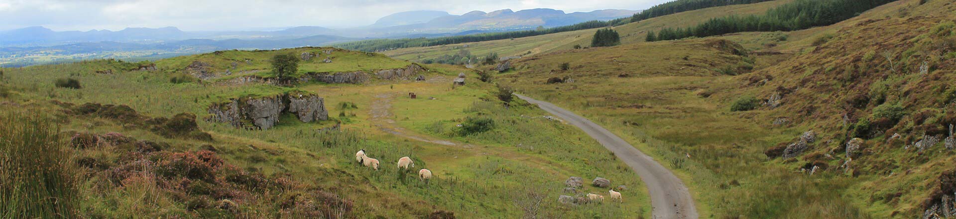 bike hire in Leitrim